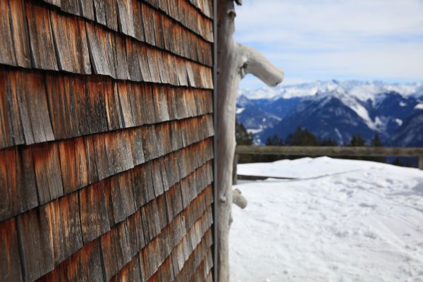 Cost of Cedar Siding Repair in College Station