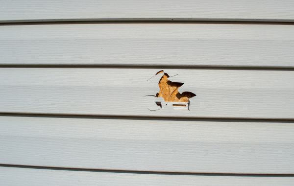 Cost of Siding Hole Patching in College Station