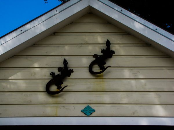 Cost of Shiplap Siding Installation in College Station